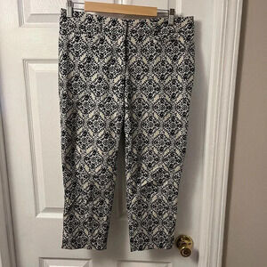 Women’s Loft Pants Size 8P